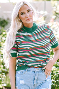 Dark Green Striped Pattern Contrast Trim Pointelle Knit T Shirt