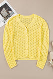 Pointelle Knit V Neck Sweater Cardigan