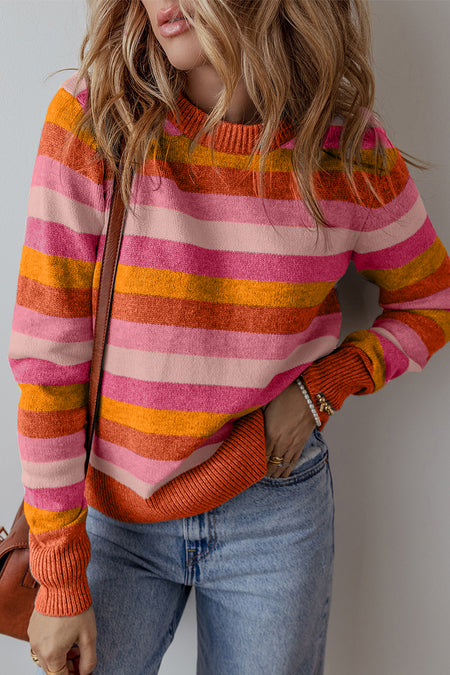 Color Block Ribbed Edge Round Neck Sweater