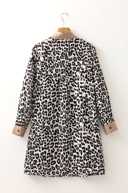 Leopard Print Long Sleeve Flared Dress