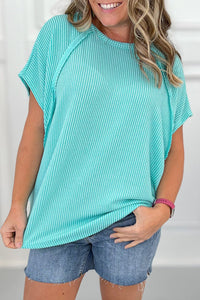 Ribbed Exposed Seam Casual Plus Size T Shirt