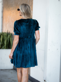 Velvet SS Puff sleeve Dress