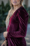 Pleated Long Sleeve V-neck Top