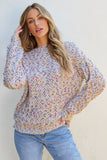 Confetti Knit Popcorn Sweater Top