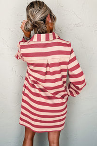 Stripe Collared V Neck Long Sleeve Loose Casual Dress