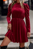 Velvet Frilled Neck Gigot Sleeve Swing Dress